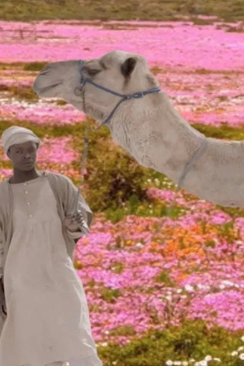 The Future Was Desert poster