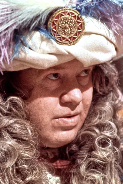 Den fine mand poster