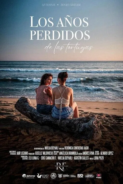 The Lost Years of the Turtles poster