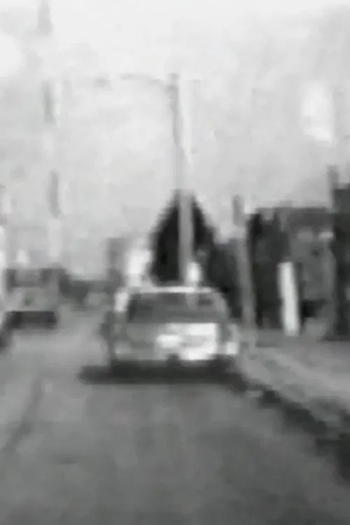 Audio and Visual Experiment 25 poster