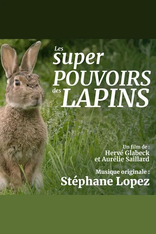 Les super pouvoirs du lapin poster