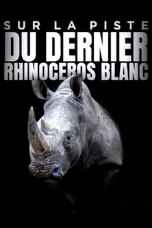 Sur la piste du dernier rhinocéros blanc poster