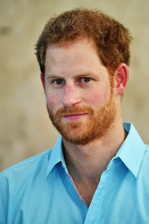 Prince Harry, Duke of Sussex profile