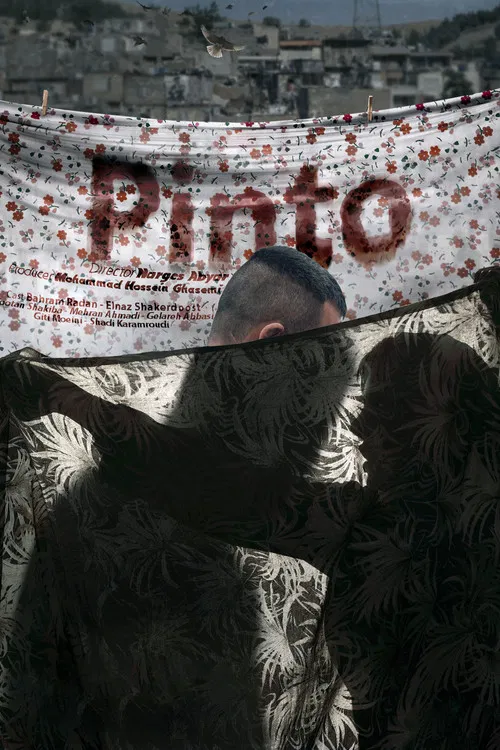 Pinto poster
