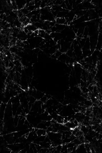 Mantle of Dusk poster