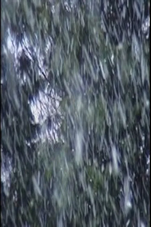 H2O-0C-24.02.06-12.01GMT - 03,50.40W - 50.16.30N poster