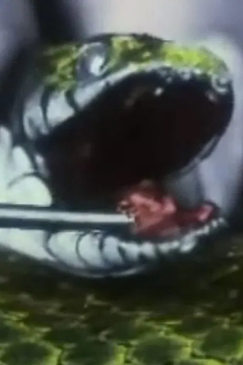 Una serpiente inofensiva. La culebra poster