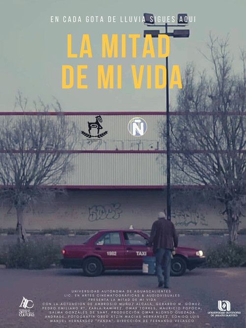 La Mitad De Mi Vida poster