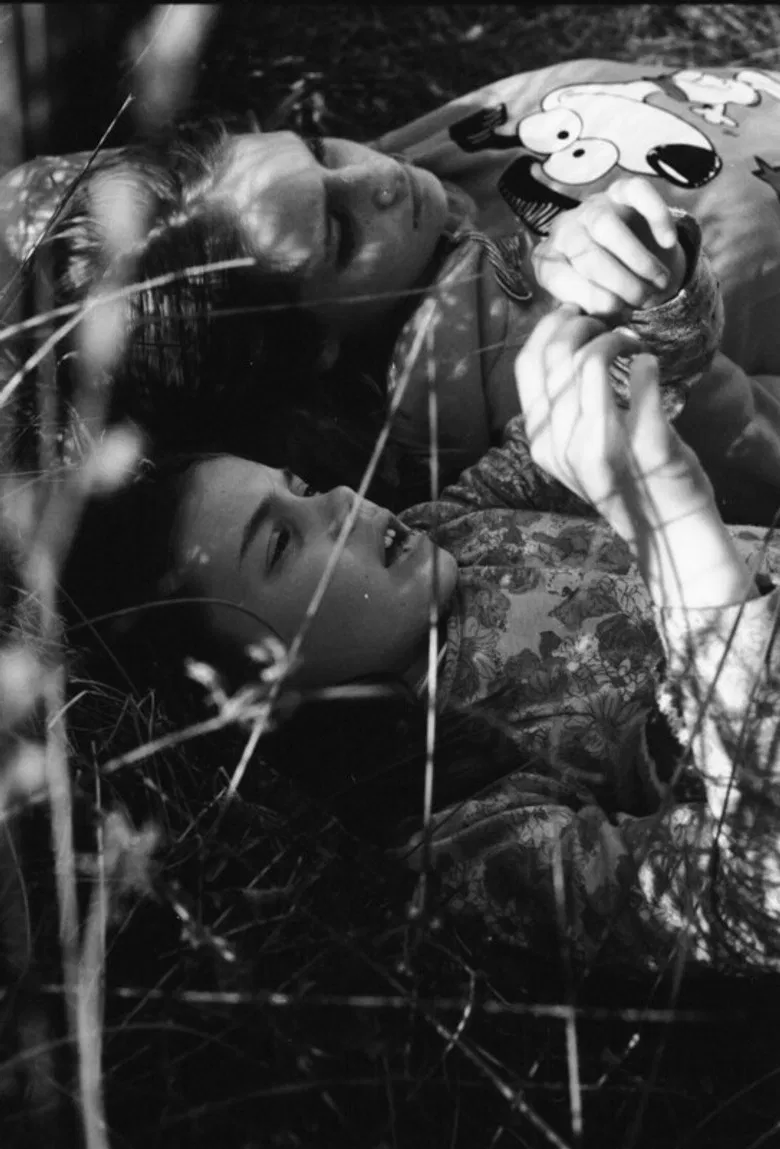 Nola poster background