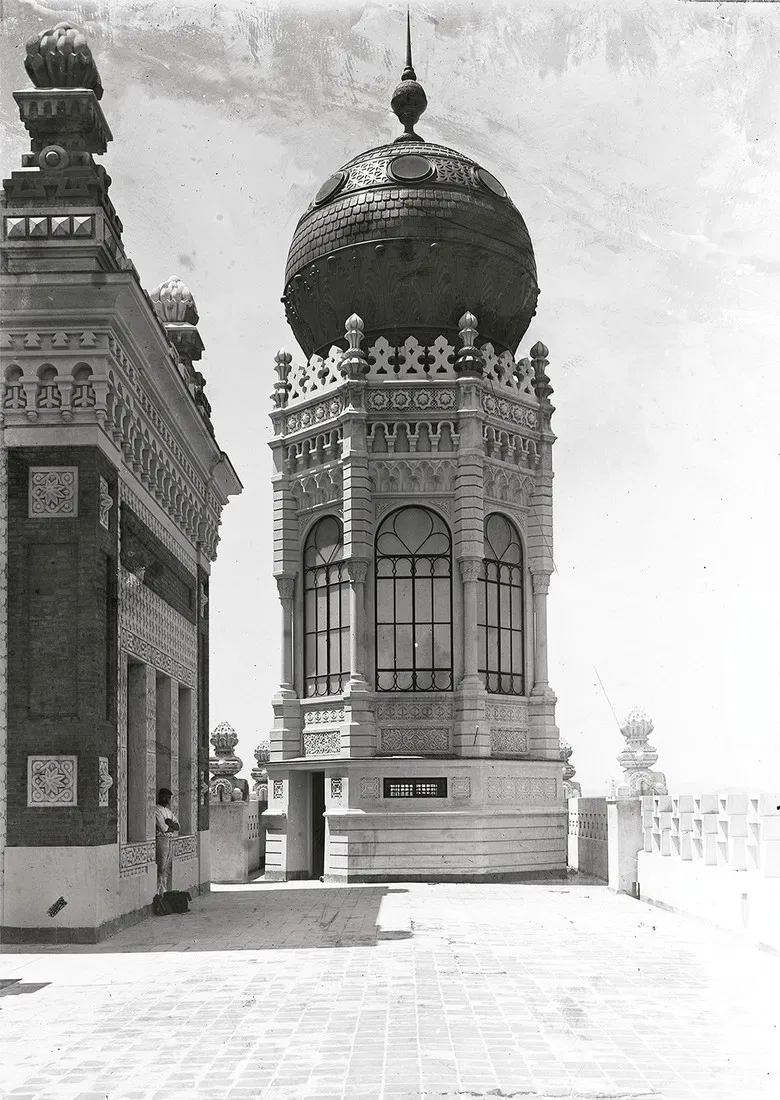 Instituto Oswaldo Cruz poster background