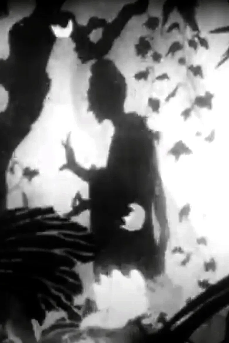 Spider Silk poster background