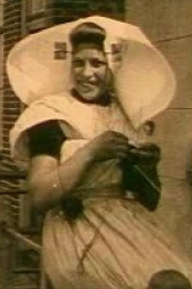 Through Walcheren poster background