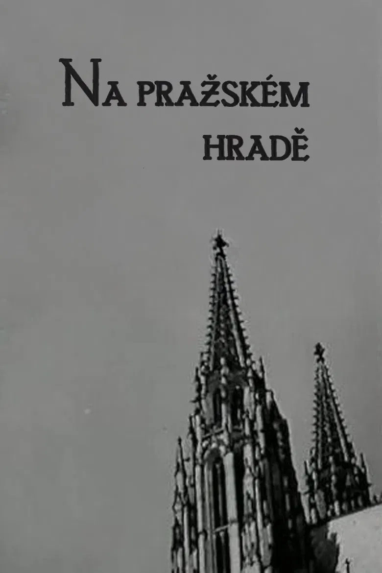 The Prague Castle poster background