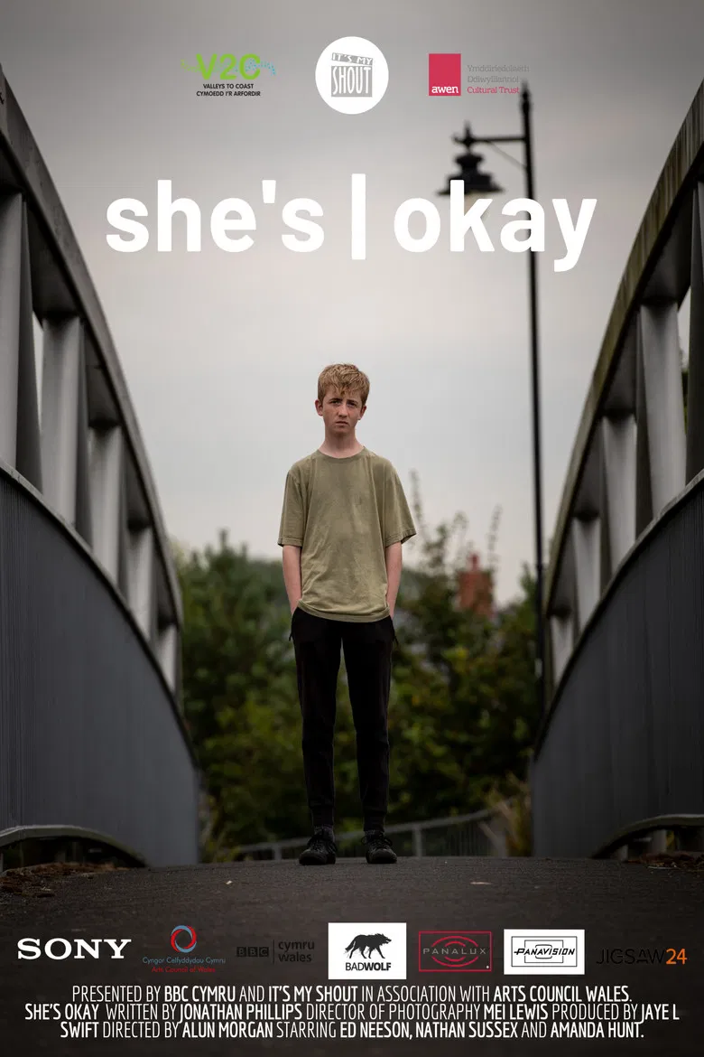 She's Okay poster background