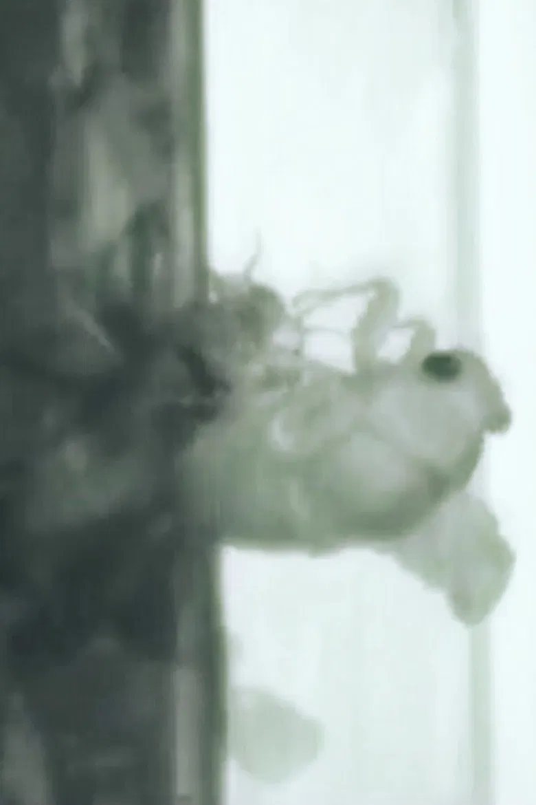 Un Ange Passe poster background