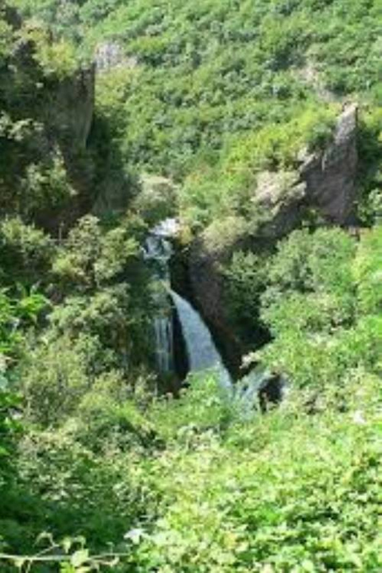 sara original poster background