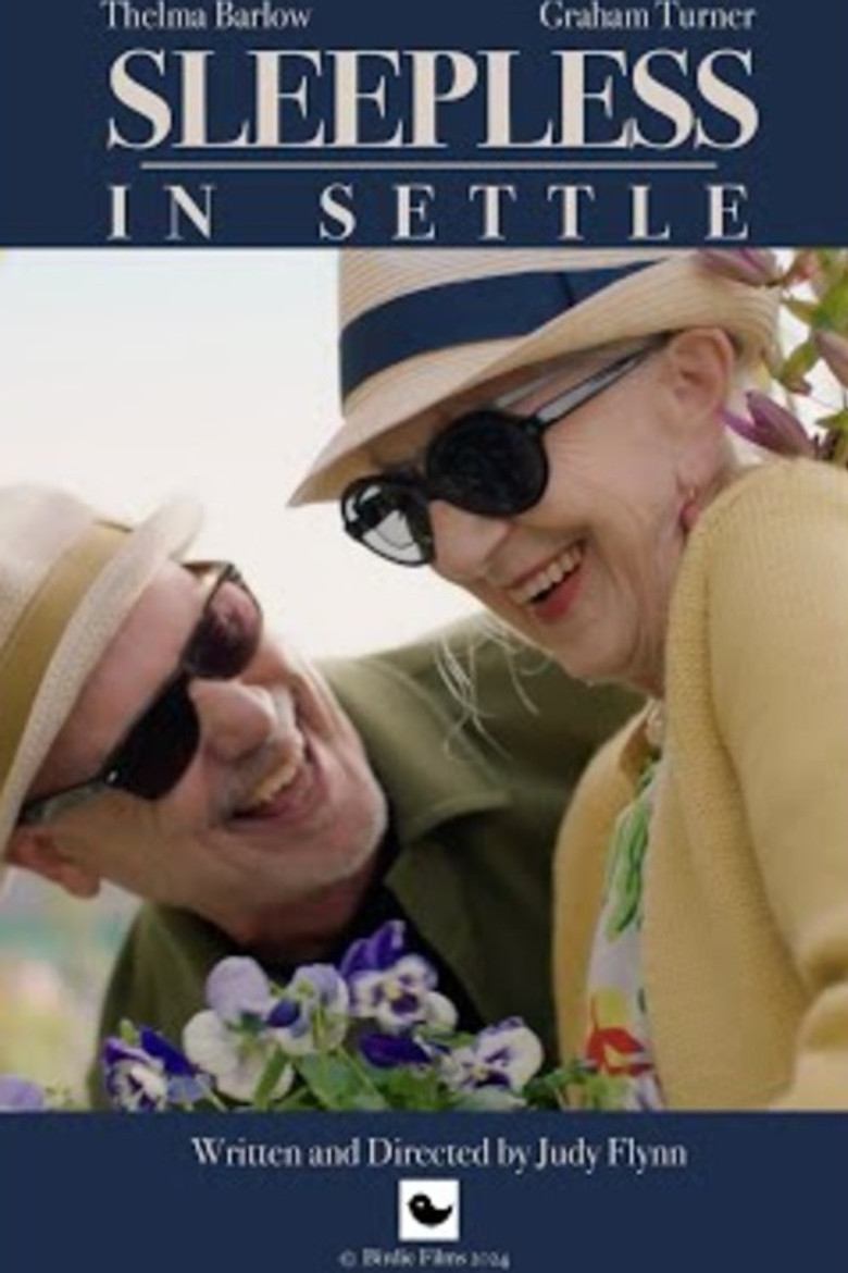 Sleepless in Settle poster background