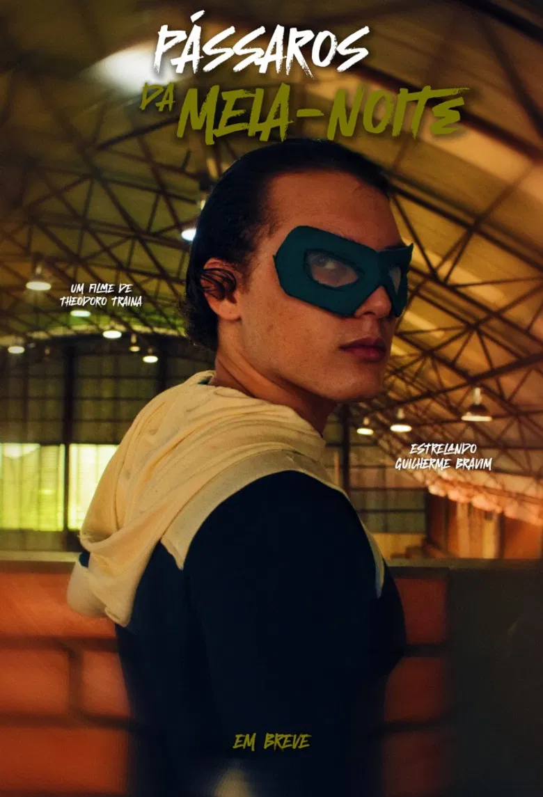 Pássaros da Meia noite poster background