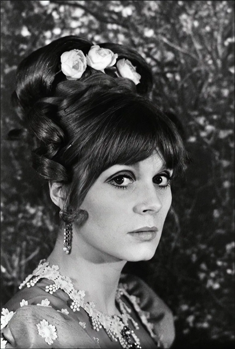 The Double Contempt poster background