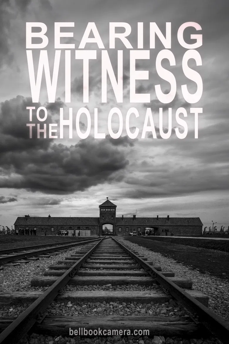 Bearing Witness to the Holocaust poster background