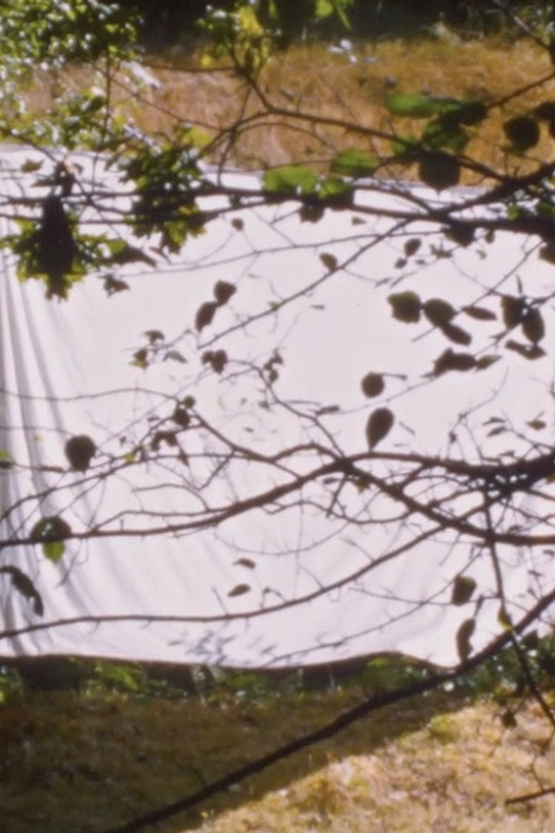 White Screen (for Amy Halpern) poster background