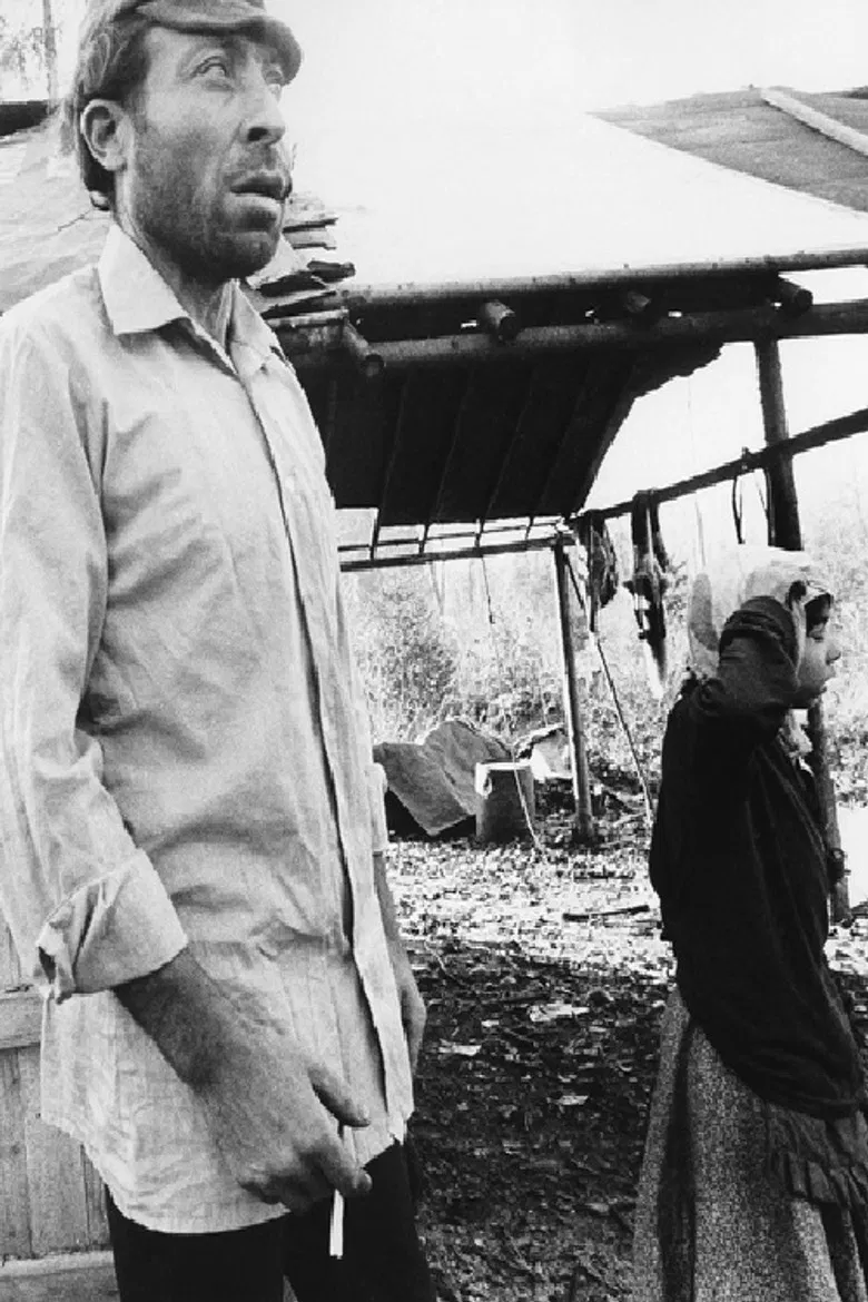 Opre Roma poster background