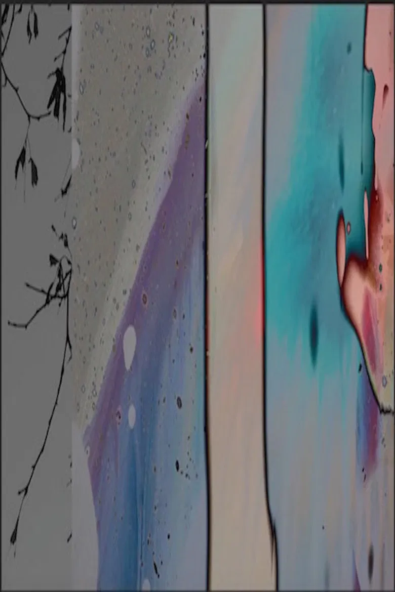 "An Extra Wander: For Chick..." poster background