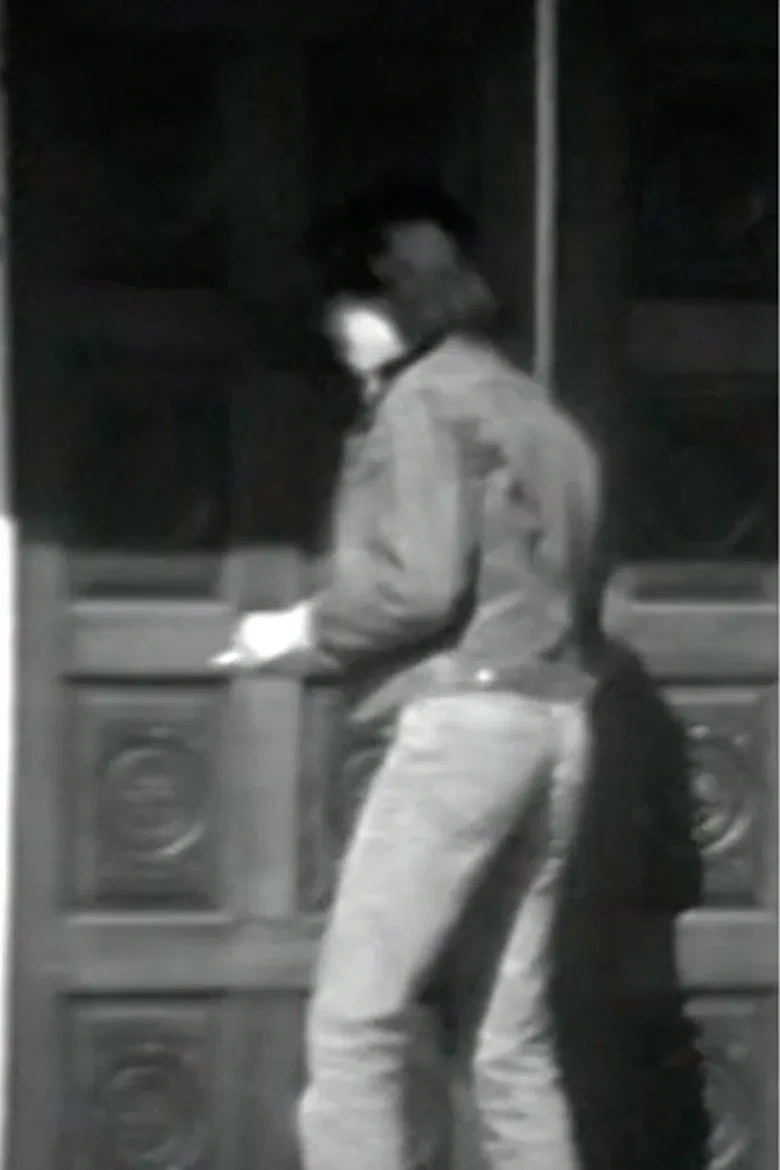 On Becoming a Man poster background