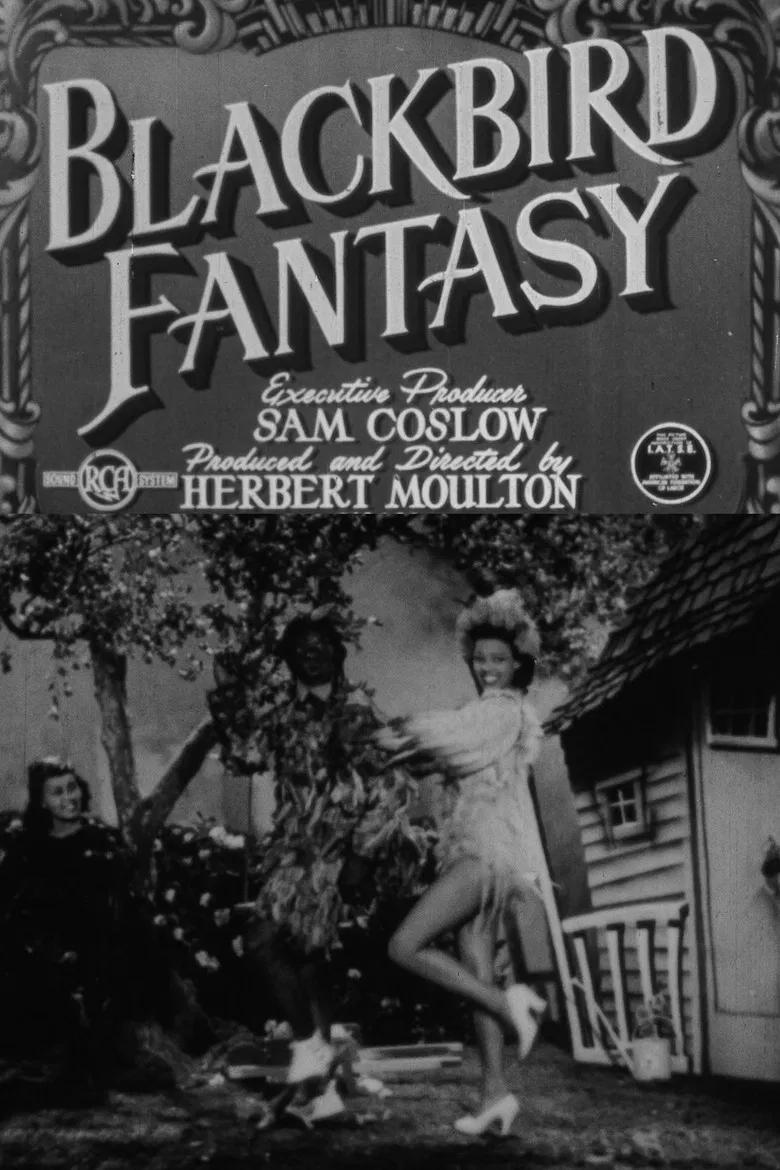 Blackbird Fantasy poster background