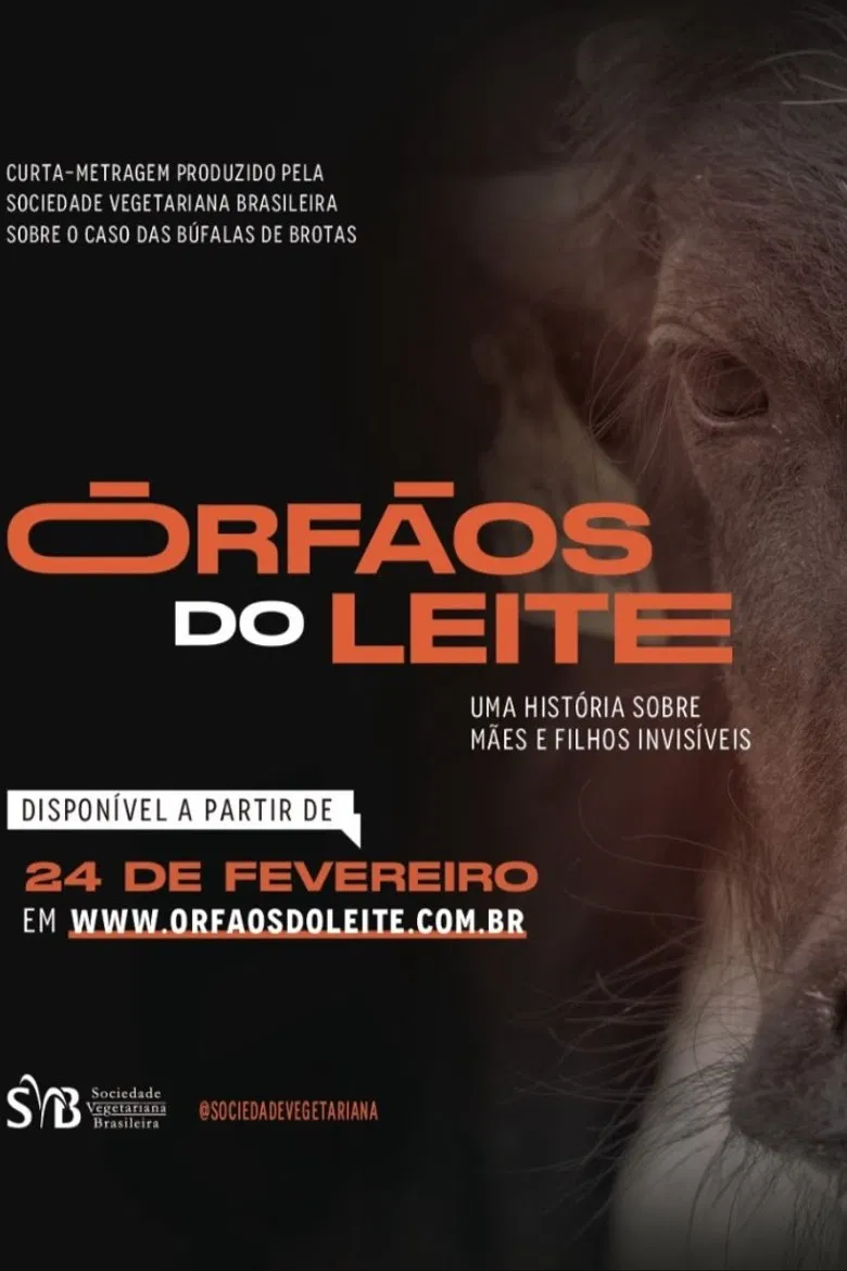 Órfãos do Leite: Uma história sobre mães e filhos invisíveis poster background