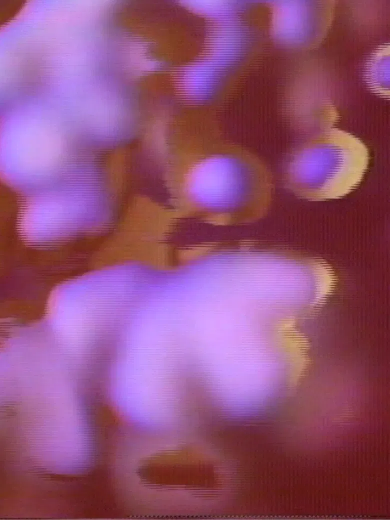 El Avión poster background