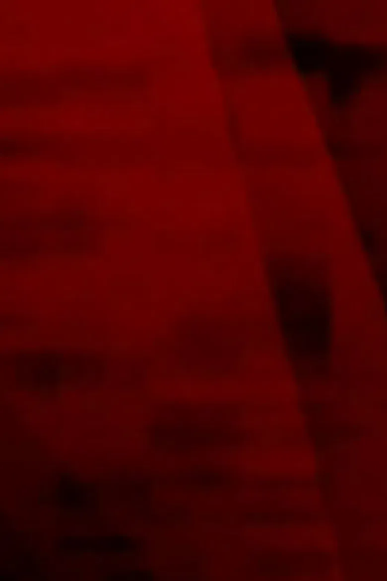 nszra poster background