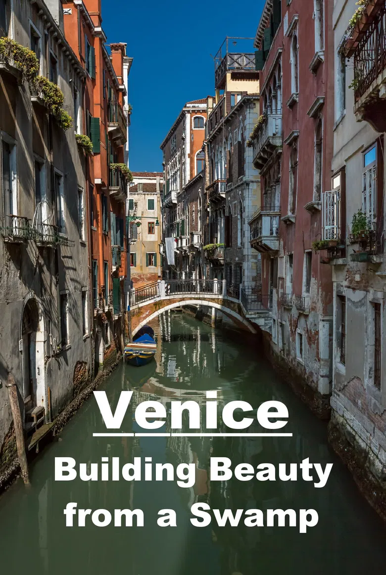 Venice: Building Beauty from a Swamp poster background