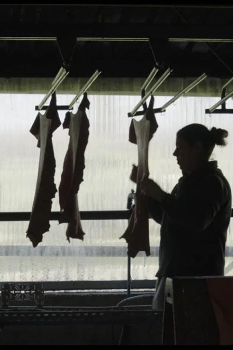 Unskinned poster background