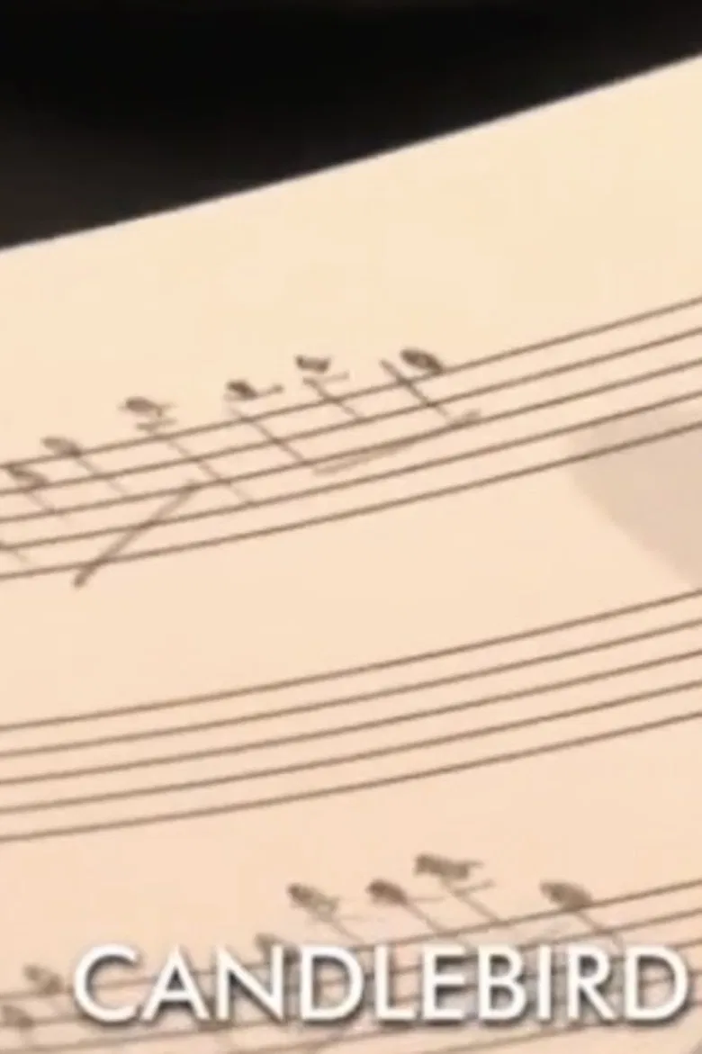 Candlebird poster background