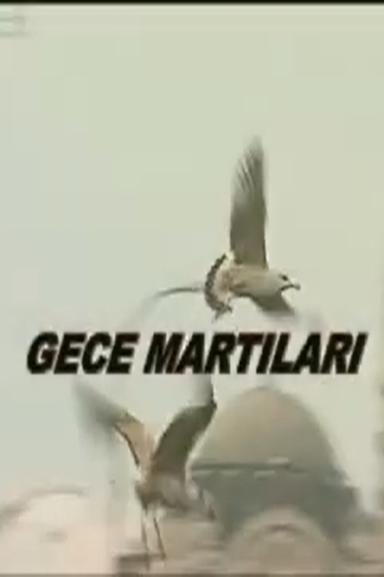 Gece Martıları poster background