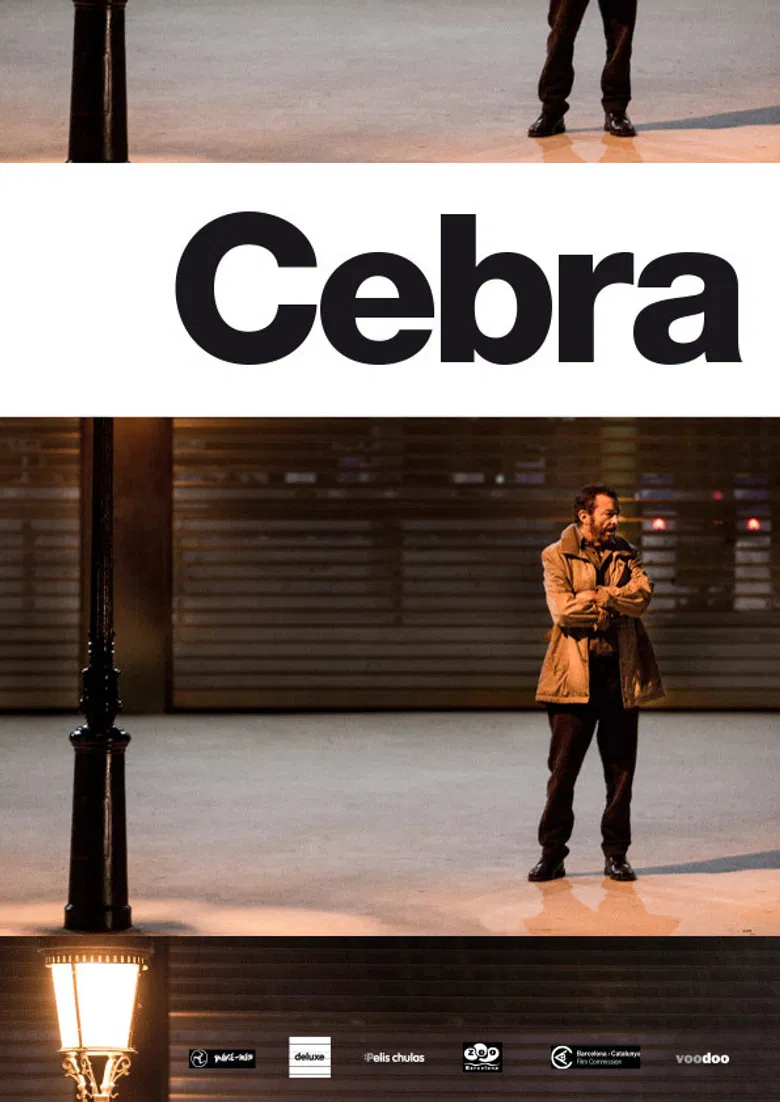 Cebra poster background