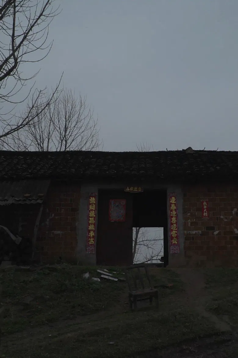 Self-Portrait: Sphinx in 47 Km poster background