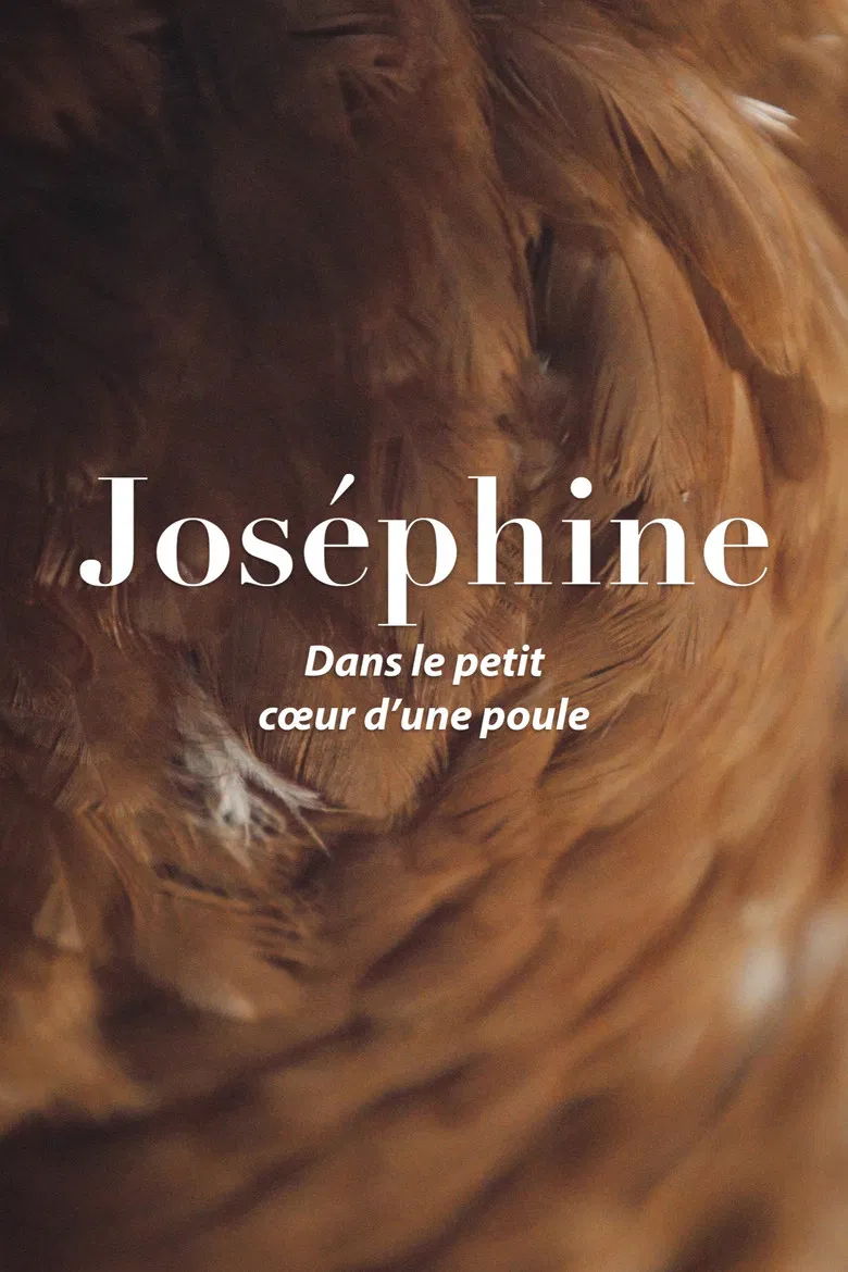 Joséphine, dans le petit cœur d'une poule poster background