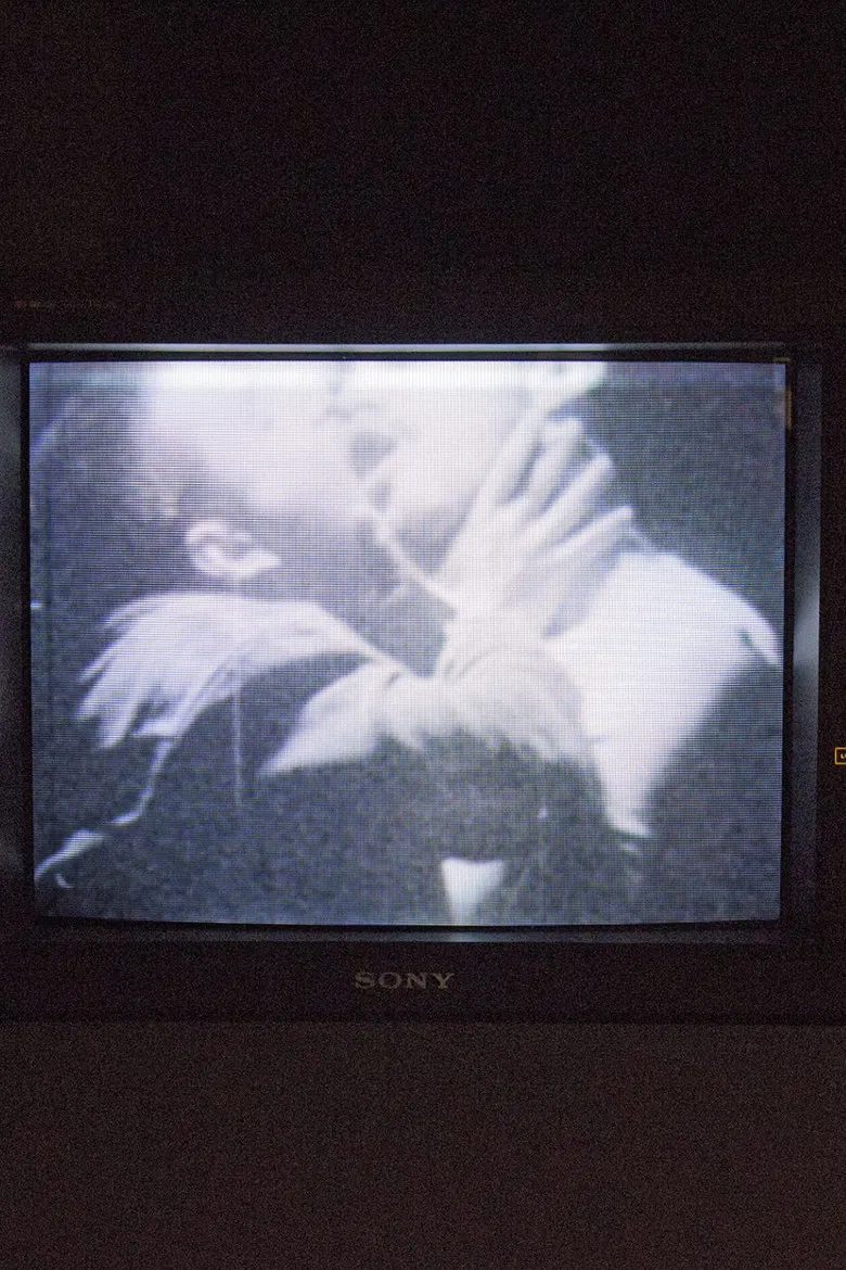 Let's Make Love and LIsten to Death from Above poster background