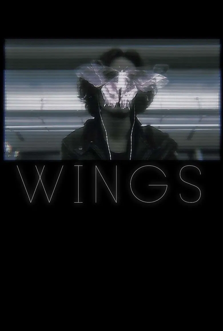 Wings poster background