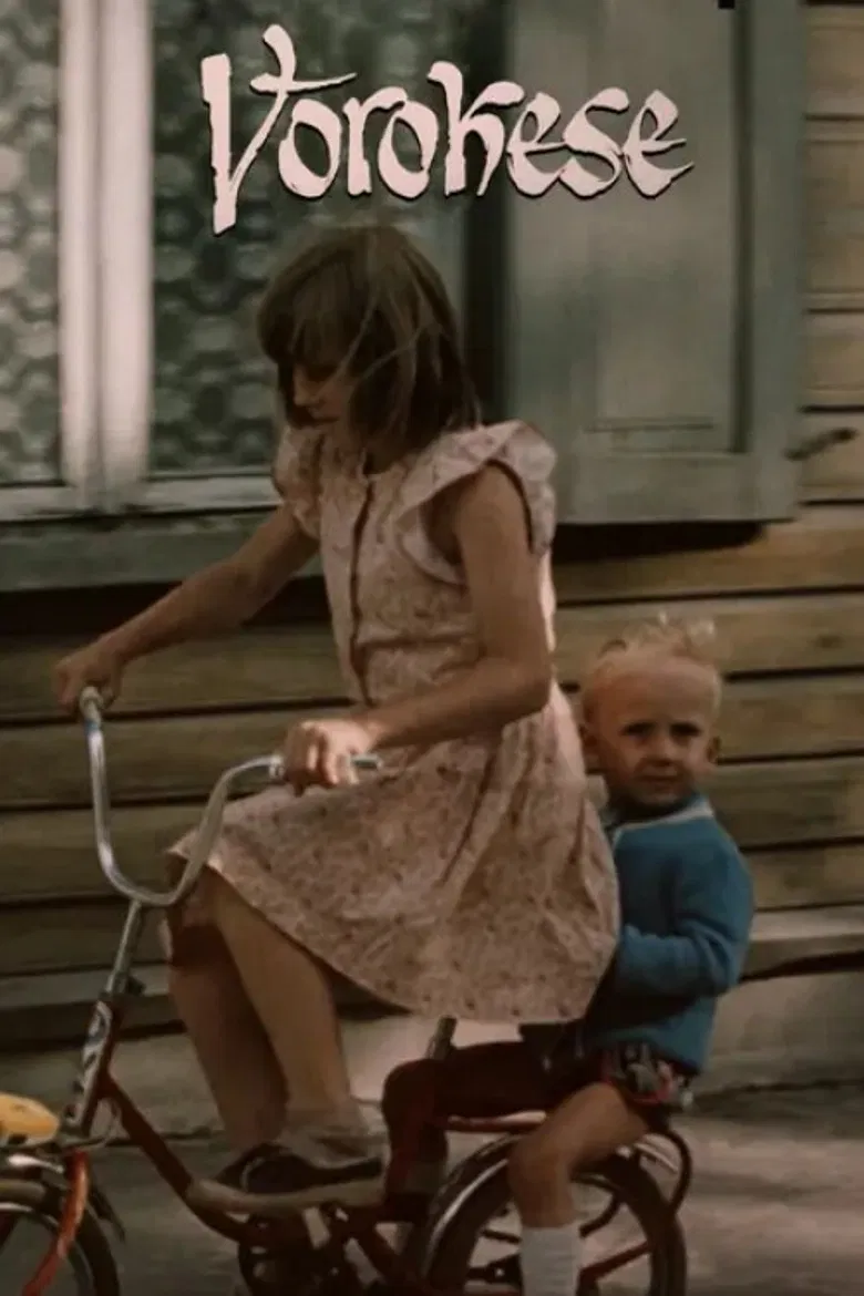 Võrokese poster background