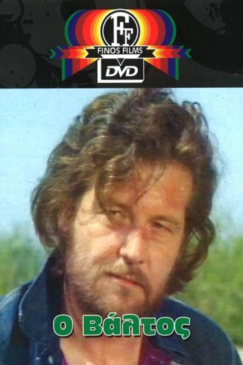 The Swamp poster background