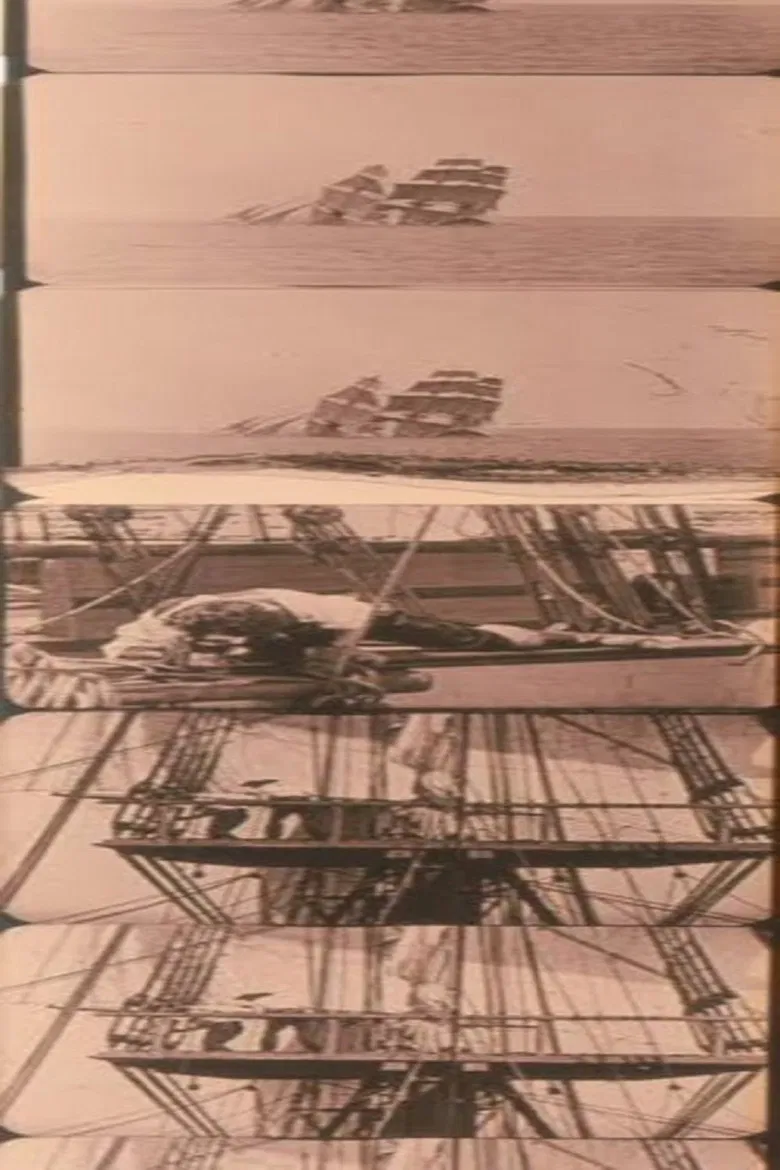 Untitled Joseph Cornell Film (The Wool Collage) poster background