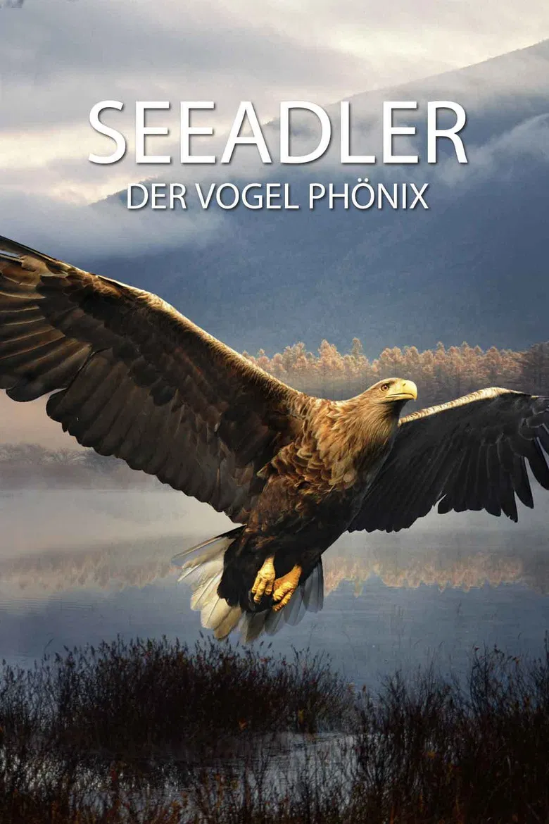 Seeadler - Der Vogel Phönix poster background
