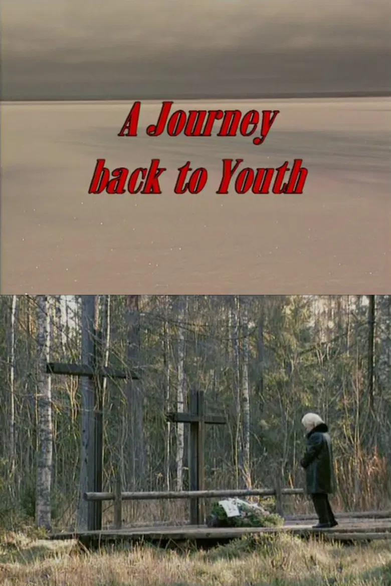 A Journey Back to Youth poster background