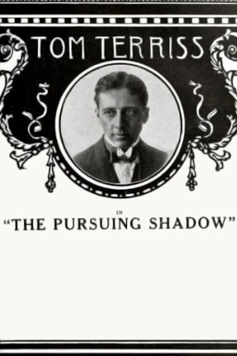 The Pursuing Shadow poster background