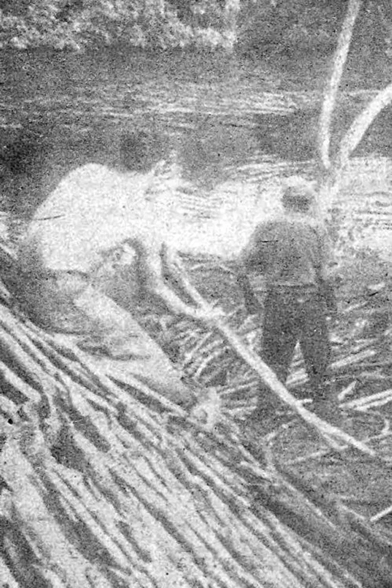 Tierra Olvidada poster background