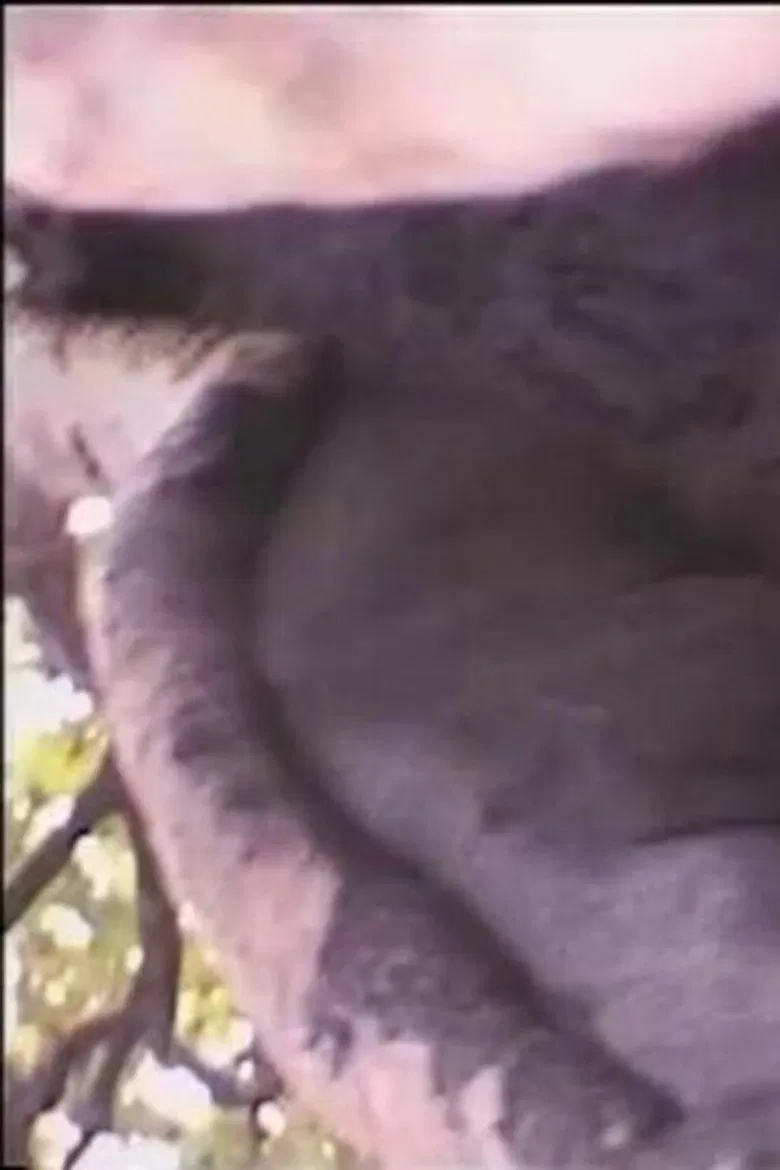 Béton armé contre dame nature poster background