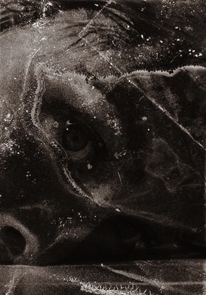 After Psycho Shower poster background